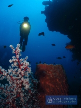 Diver Exploring Liberty Wreck, Bali